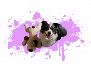 &Uuml;ber Mich & meine Trainingsphilosophie