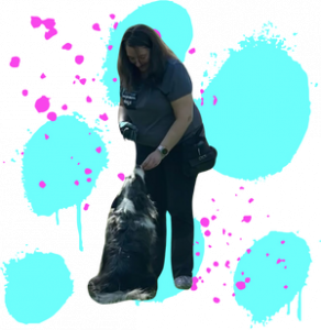 &Uuml;ber Mich & meine Trainingsphilosophie