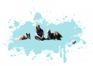 &Uuml;ber Mich & meine Trainingsphilosophie