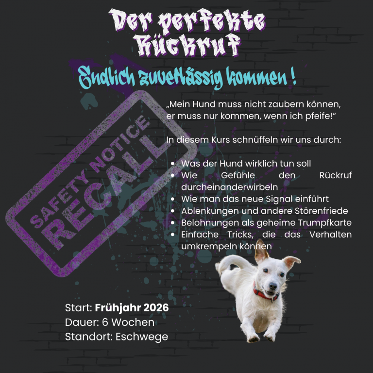 Der perfekte Rückruf jetzt anmelden für Frühjahr 2026