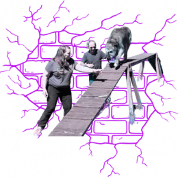 Biene-Bruecke.png
